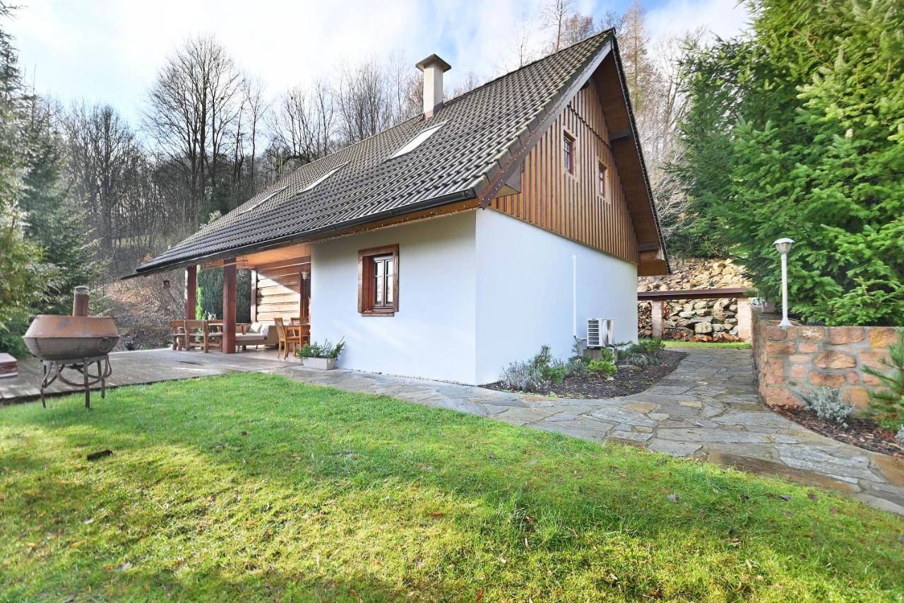 Wooden House In The Heart Of The Giant Mountains With Own Hill Vichova nad Jizerou